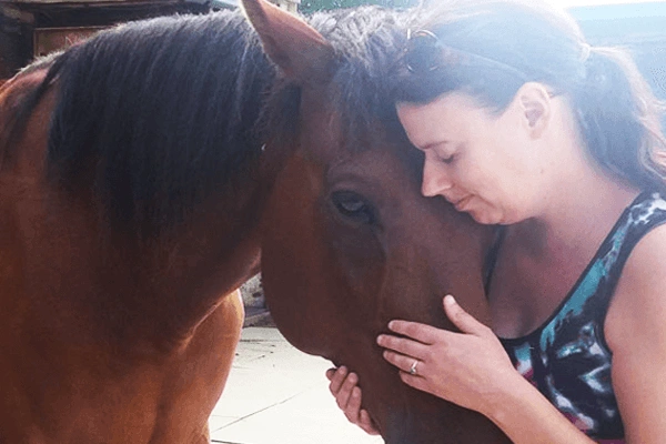 Picture of a horse